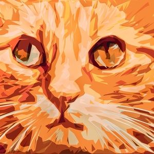 Meet your Posher, Katrina